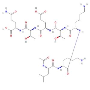 TB500 Structure